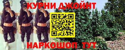 гашик Будённовск