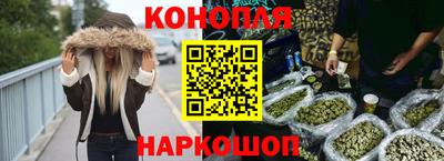 гашик Будённовск