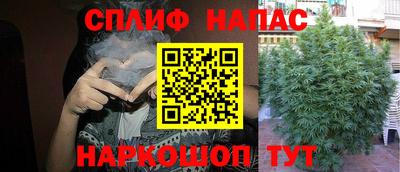 гашик Будённовск