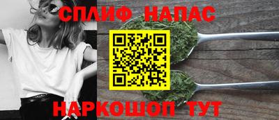 гашик Будённовск