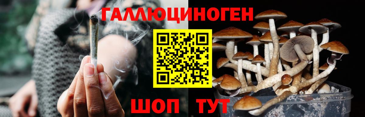 Галлюциногенные грибы Magic Shrooms  Вход с VPN  Галлюциногенные грибы ЛСД  Шали 